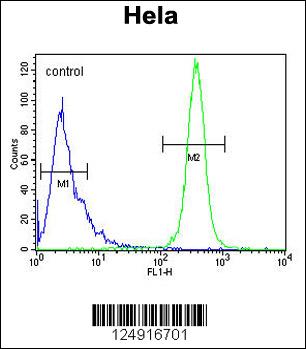 K2C78 Antibody (Center) (Cat. #AP9856c) flow cytometric analysis of Hela cells (right histogram) compared to a negative control cell (left histogram).FITC-conjugated goat-anti-rabbit secondary antibodies were used for the analysis.