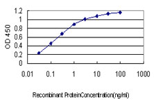 Detection limit for recombinant GST tagged ARMC8 is approximately 0.03ng/ml as a capture antibody.