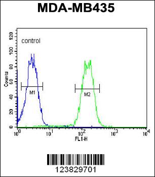 LYRM4 Antibody (Center) (Cat. #AP10681c) flow cytometric analysis of MDA-MB435 cells (right histogram) compared to a negative control cell (left histogram).FITC-conjugated goat-anti-rabbit secondary antibodies were used for the analysis.