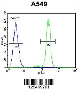 CEP70 Antibody (Center) (Cat. #AP10646c) flow cytometric analysis of A549 cells (right histogram) compared to a negative control cell (left histogram).FITC-conjugated goat-anti-rabbit secondary antibodies were used for the analysis.