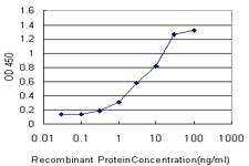 Detection limit for recombinant GST tagged CACNA1I is approximately 0.3ng/ml as a capture antibody.
