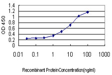 Detection limit for recombinant GST tagged C9orf86 is approximately 0.03ng/ml as a capture antibody.