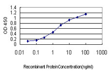 Detection limit for recombinant GST tagged C6orf139 is approximately 0.03ng/ml as a capture antibody.