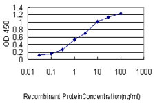 Detection limit for recombinant GST tagged C22orf18 is approximately 0.03ng/ml as a capture antibody.