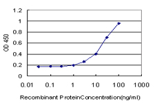 Detection limit for recombinant GST tagged C19orf10 is approximately 1ng/ml as a capture antibody.