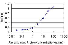 Detection limit for recombinant GST tagged BAAT is approximately 0.3ng/ml as a capture antibody.