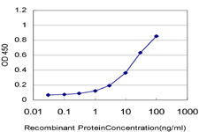 Detection limit for recombinant GST tagged B3GNT1 is approximately 0.3ng/ml as a capture antibody.