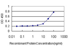Detection limit for recombinant GST tagged B3GALT2 is approximately 3ng/ml as a capture antibody.
