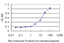 Detection limit for recombinant GST tagged AZIN1 is approximately 0.3ng/ml as a capture antibody.