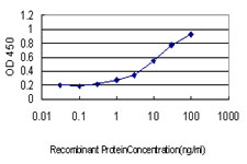 Detection limit for recombinant GST tagged ATP2A3 is approximately 0.3ng/ml as a capture antibody.