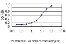 Detection limit for recombinant GST tagged SLC44A2 is approximately 0.3ng/ml as a capture antibody.