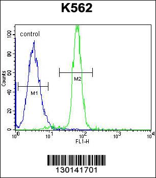 CLIP3 Antibody (C-term) (Cat. #AP11084b) flow cytometric analysis of K562 cells (right histogram) compared to a negative control cell (left histogram).FITC-conjugated goat-anti-rabbit secondary antibodies were used for the analysis.