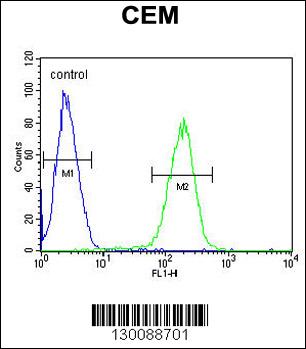C10orf78 Antibody (N-term) (Cat. #AP11080a) flow cytometric analysis of CEM cells (right histogram) compared to a negative control cell (left histogram).FITC-conjugated goat-anti-rabbit secondary antibodies were used for the analysis.