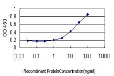 Detection limit for recombinant GST tagged CMAS is approximately 1ng/ml as a capture antibody.
