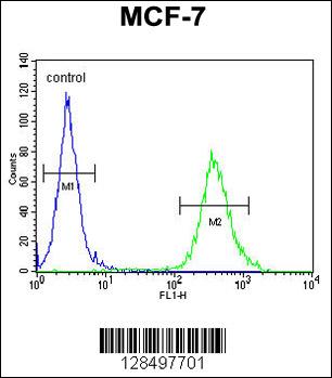 CYB561D1 Antibody (C-term) (Cat. #AP11046b) flow cytometric analysis of MCF-7 cells (right histogram) compared to a negative control cell (left histogram).FITC-conjugated goat-anti-rabbit secondary antibodies were used for the analysis.