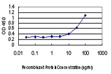Detection limit for recombinant GST tagged FBXO25 is approximately 3ng/ml as a capture antibody.