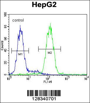 CCDC17 Antibody (C-term) (Cat. #AP11038b) flow cytometric analysis of HepG2 cells (right histogram) compared to a negative control cell (left histogram).FITC-conjugated goat-anti-rabbit secondary antibodies were used for the analysis.