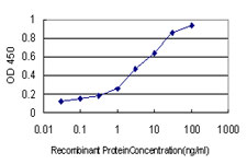 Detection limit for recombinant GST tagged HSPB7 is approximately 0.1ng/ml as a capture antibody.