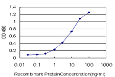 Detection limit for recombinant GST tagged HNRNPG-T is approximately 0.1ng/ml as a capture antibody.