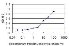 Detection limit for recombinant GST tagged HLA-DRB4 is approximately 1ng/ml as a capture antibody.