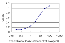 Detection limit for recombinant GST tagged HEPH is approximately 0.3ng/ml as a capture antibody.