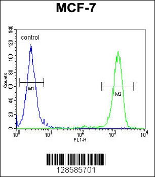EFHB Antibody (N-term) (Cat. #AP10904a) flow cytometric analysis of MCF-7 cells (right histogram) compared to a negative control cell (left histogram).FITC-conjugated goat-anti-rabbit secondary antibodies were used for the analysis.