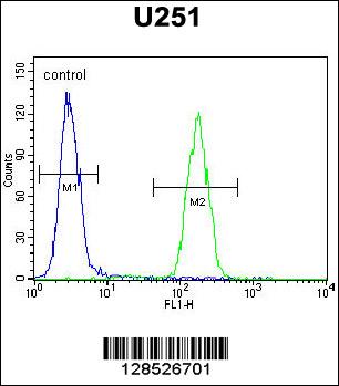 AMN1 Antibody (N-term) (Cat. #AP10901a) flow cytometric analysis of U251 cells (right histogram) compared to a negative control cell (left histogram).FITC-conjugated goat-anti-rabbit secondary antibodies were used for the analysis.