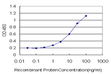 Detection limit for recombinant GST tagged JTB is approximately 1ng/ml as a capture antibody.