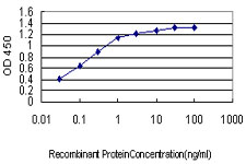 Detection limit for recombinant GST tagged JPH1 is approximately 0.03ng/ml as a capture antibody.