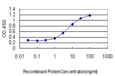 Detection limit for recombinant GST tagged ING3 is approximately 1ng/ml as a capture antibody.