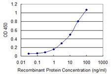 Detection limit for recombinant GST tagged ING3 is 0.1 ng/ml as a capture antibody.