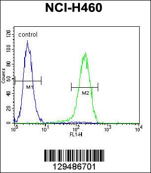 PRAMEF6 Antibody (C-term) (Cat. #AP11418b) flow cytometric analysis of NCI-H460 cells (right histogram) compared to a negative control cell (left histogram).FITC-conjugated goat-anti-rabbit secondary antibodies were used for the analysis.