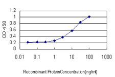 Detection limit for recombinant GST tagged IL1RAPL1 is approximately 0.3ng/ml as a capture antibody.
