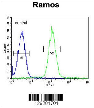 MGC24975 Antibody (C-term) (Cat. #AP11386b) flow cytometric analysis of Ramos cells (right histogram) compared to a negative control cell (left histogram).FITC-conjugated goat-anti-rabbit secondary antibodies were used for the analysis.