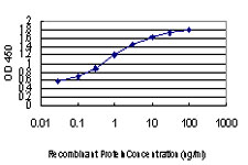 Detection limit for recombinant GST tagged NEDD1 is approximately 0.03ng/ml as a capture antibody.