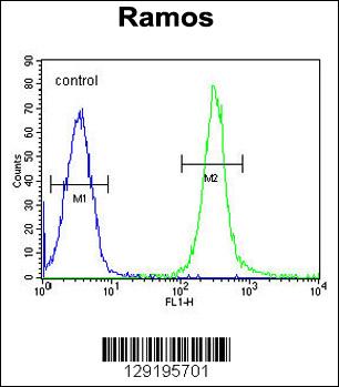 FAM133A Antibody (N-term) (Cat. #AP11383a) flow cytometric analysis of Ramos cells (right histogram) compared to a negative control cell (left histogram).FITC-conjugated goat-anti-rabbit secondary antibodies were used for the analysis.