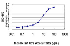 Detection limit for recombinant GST tagged MYO7A is approximately 0.1ng/ml as a capture antibody.