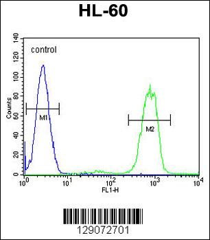 ANKRD40 Antibody (C-term) (Cat. #AP11362b) flow cytometric analysis of HL-60 cells (right histogram) compared to a negative control cell (left histogram).FITC-conjugated goat-anti-rabbit secondary antibodies were used for the analysis.