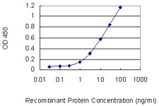 Detection limit for recombinant GST tagged MTHFD1L is 0.3 ng/ml as a capture antibody.