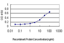 Detection limit for recombinant GST tagged MSRB2 is approximately 0.3ng/ml as a capture antibody.