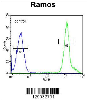 NIPAL1 Antibody (C-term) (Cat. #AP11352b) flow cytometric analysis of Ramos cells (right histogram) compared to a negative control cell (left histogram).FITC-conjugated goat-anti-rabbit secondary antibodies were used for the analysis.