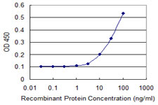 Detection limit for recombinant GST tagged GK5 is 3 ng/ml as a capture antibody.