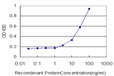 Detection limit for recombinant GST tagged MEF2B is approximately 3ng/ml as a capture antibody.