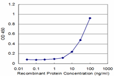 Detection limit for recombinant GST tagged PLS1 is approximately 3ng/ml as a capture antibody.