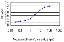 Detection limit for recombinant GST tagged PLCL2 is approximately 0.03ng/ml as a capture antibody.