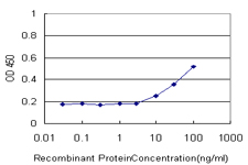 Detection limit for recombinant GST tagged PKP4 is approximately 10ng/ml as a capture antibody.