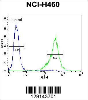 TSNARE1 Antibody (C-term) (Cat. #AP11310b) flow cytometric analysis of NCI-H460 cells (right histogram) compared to a negative control cell (left histogram).FITC-conjugated goat-anti-rabbit secondary antibodies were used for the analysis.