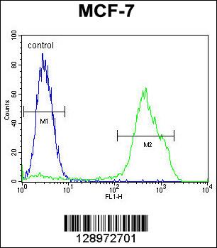 RNF19B Antibody (Center) (Cat. #AP11179c) flow cytometric analysis of MCF-7 cells (right histogram) compared to a negative control cell (left histogram).FITC-conjugated goat-anti-rabbit secondary antibodies were used for the analysis.