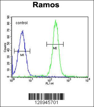 TTC9C Antibody (N-term) (Cat. #AP11171a) flow cytometric analysis of Ramos cells (right histogram) compared to a negative control cell (left histogram).FITC-conjugated goat-anti-rabbit secondary antibodies were used for the analysis.