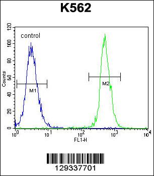 NUDT19 Antibody (Center) (Cat. #AP11496c) flow cytometric analysis of K562 cells (right histogram) compared to a negative control cell (left histogram).FITC-conjugated goat-anti-rabbit secondary antibodies were used for the analysis.